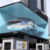 Outdoor Led Screen Display Waterproof Curved Giant Led Screen P5 Outdoor Led Display