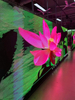 Full Color Led Video Wall High refresh Event Rental Stage Led Screen P3.91 Easy to install Indoor Outdoor Led Display