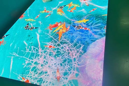 Floor LED Display